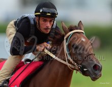 09.07 Corridas &raquo; 09.07 Corridas &raquo; Matinal 140224